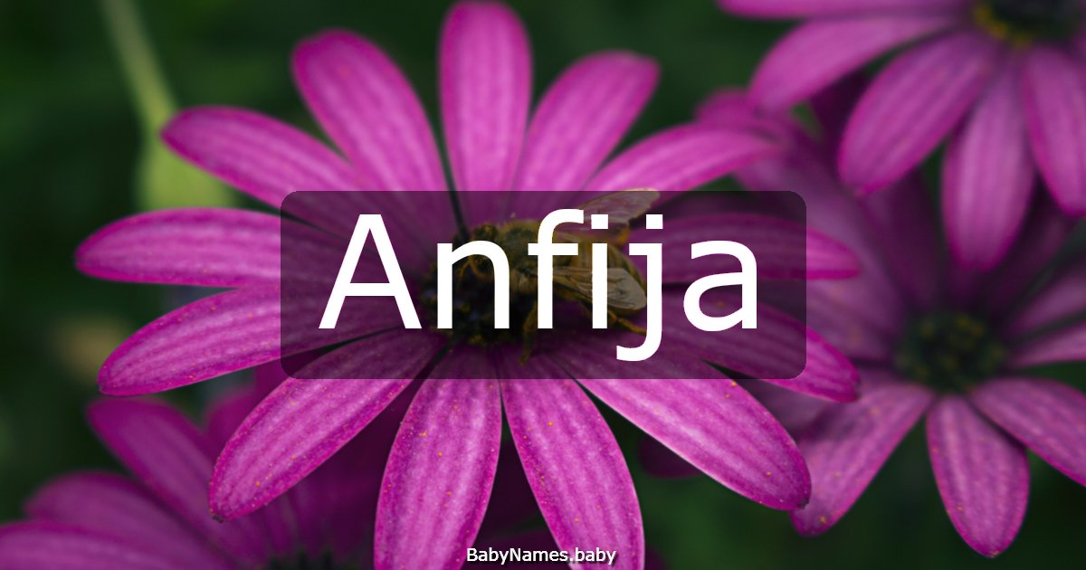 Anfija