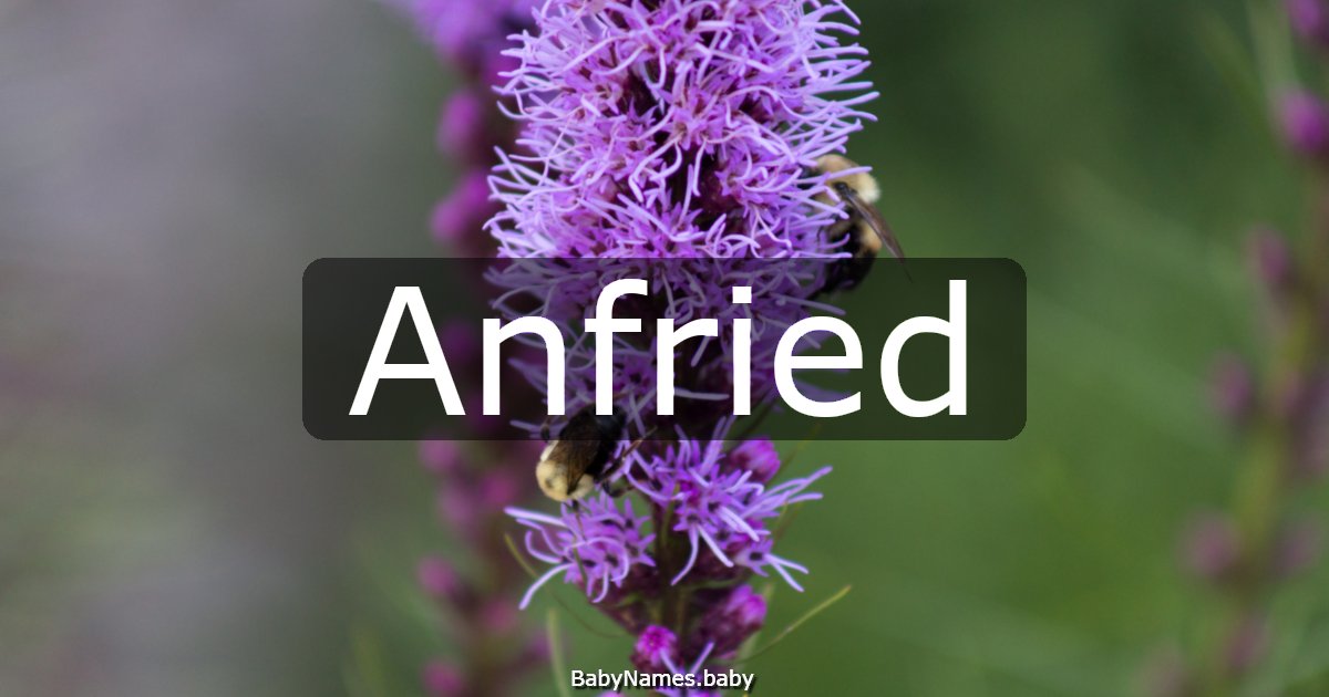 Anfried
