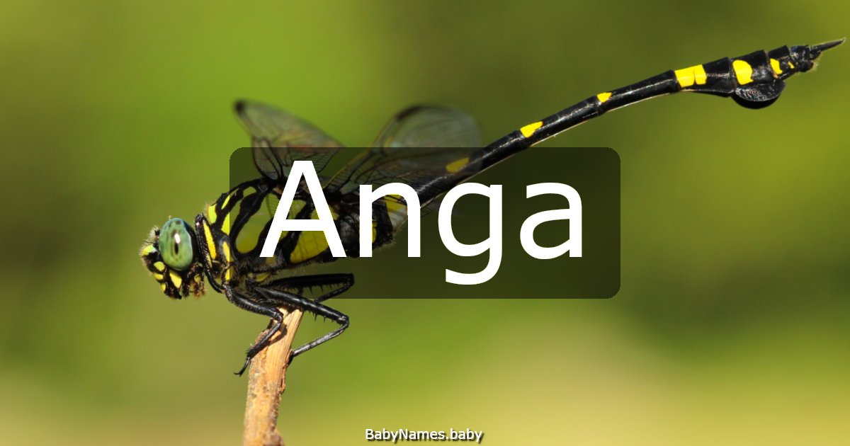 Anga