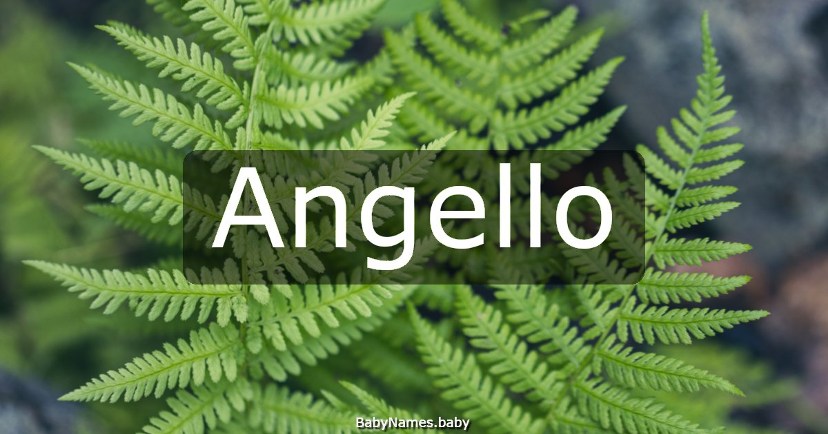 Angello