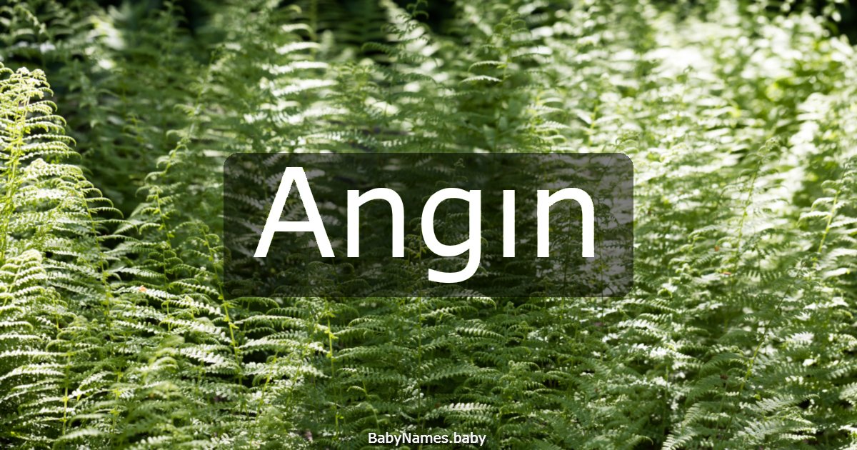 Angın