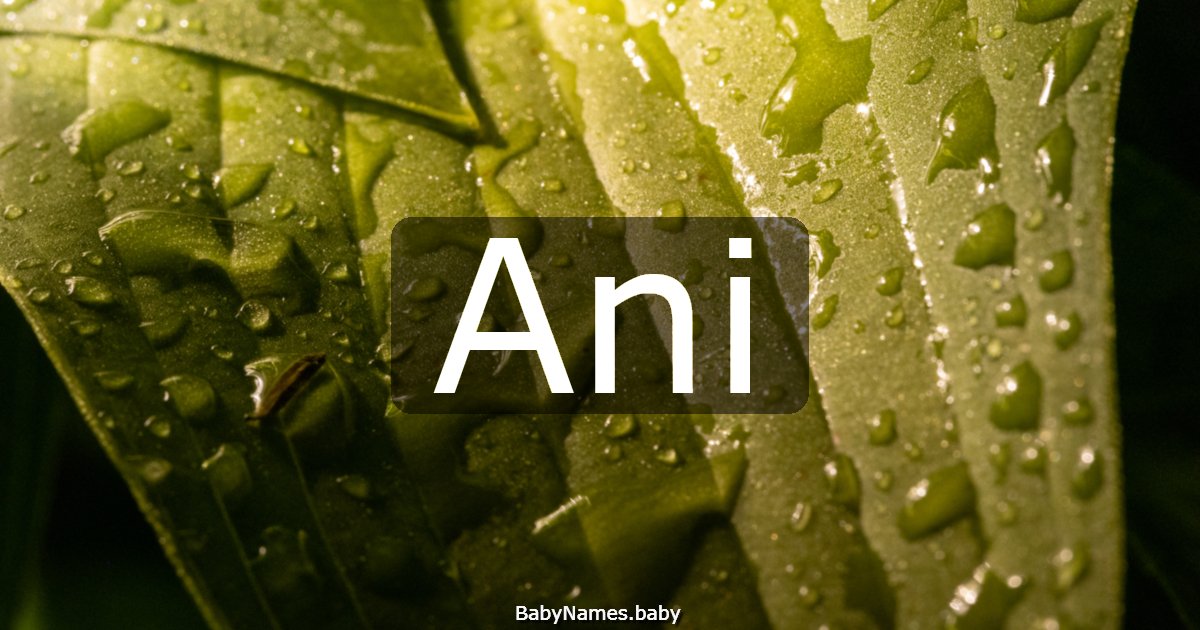 Ani