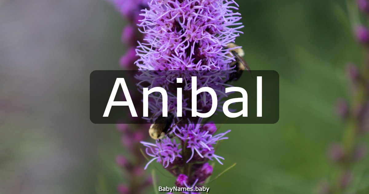 Anibal