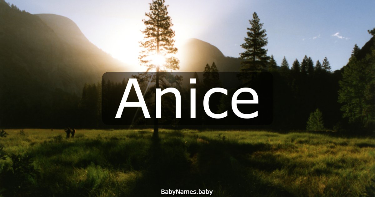 Anice