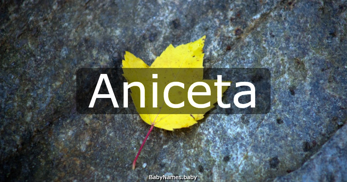 Aniceta