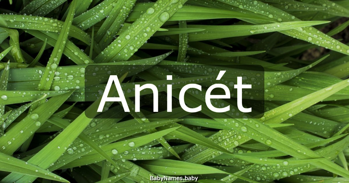 Anicét