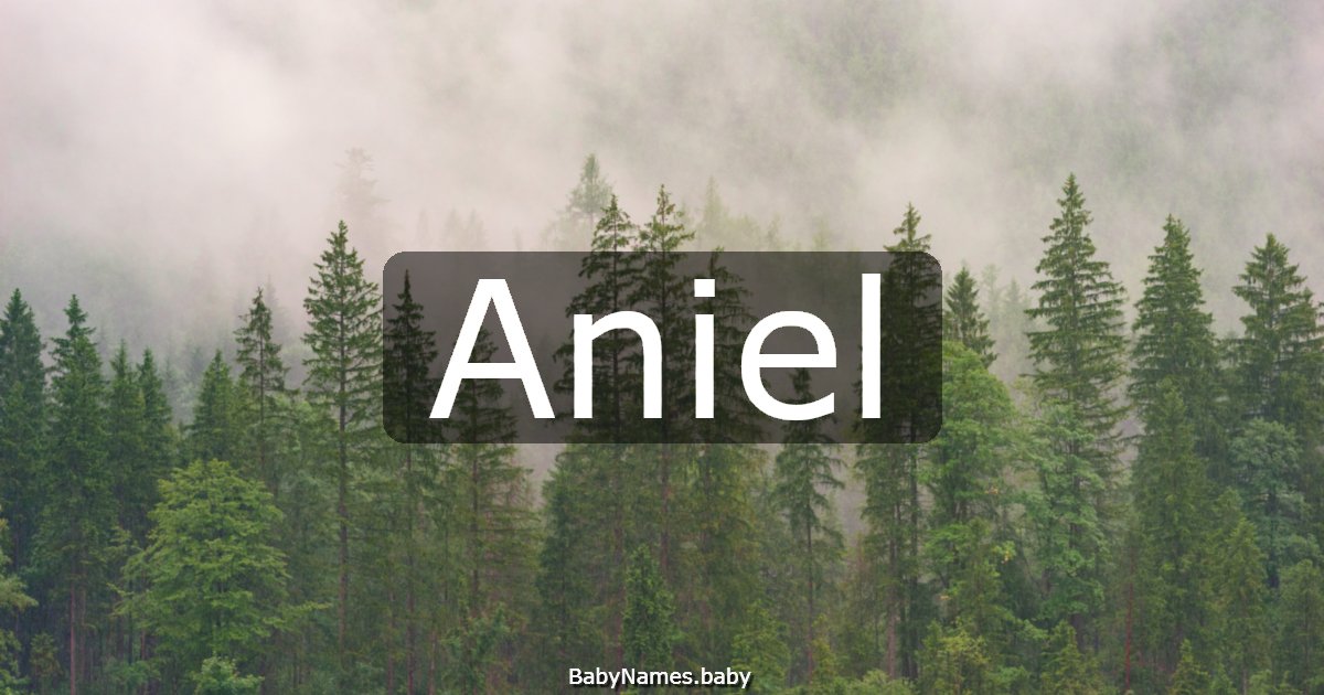 Aniel