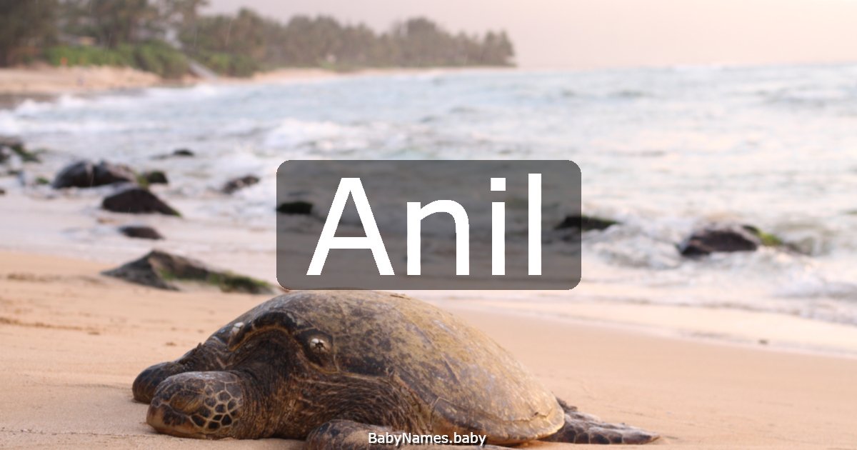 Anil