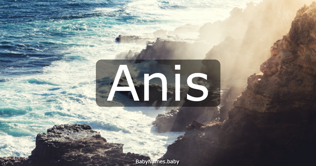 Anis