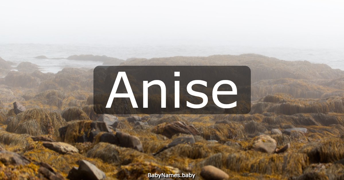 Anise