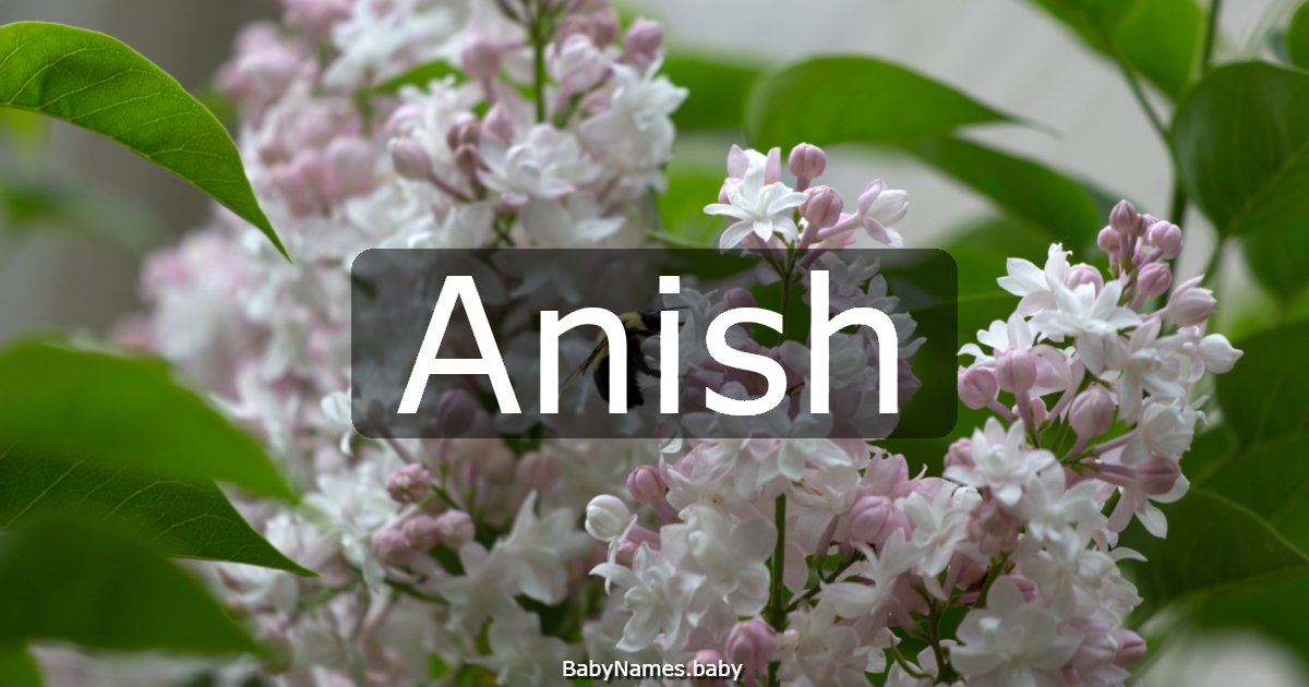 Anish