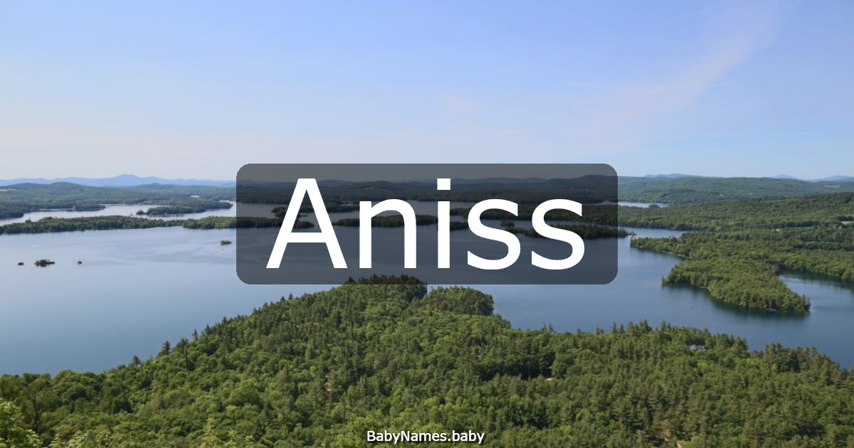 Aniss