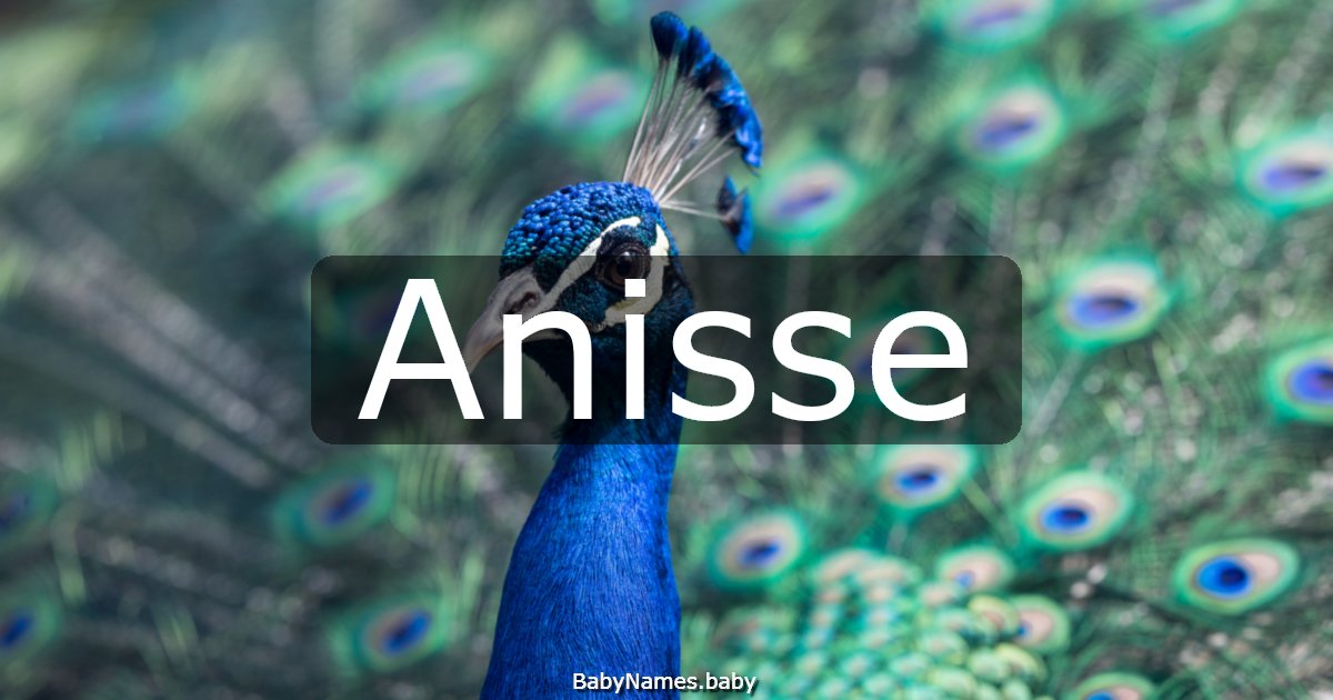 Anisse