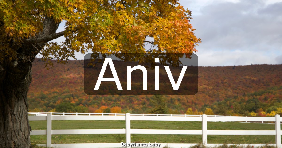 Aniv