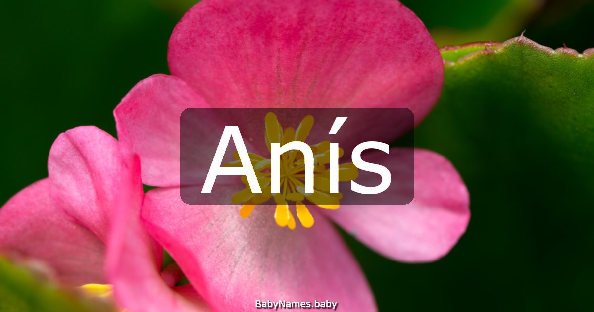 Anís
