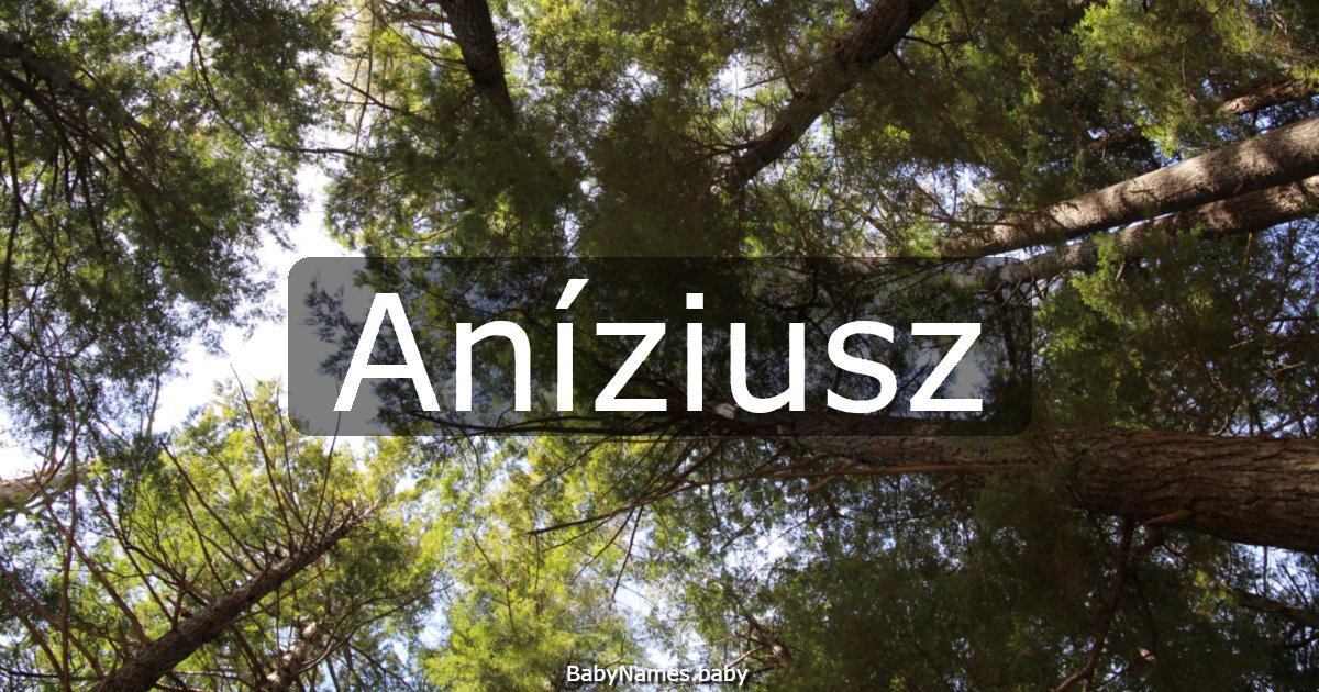 Aníziusz