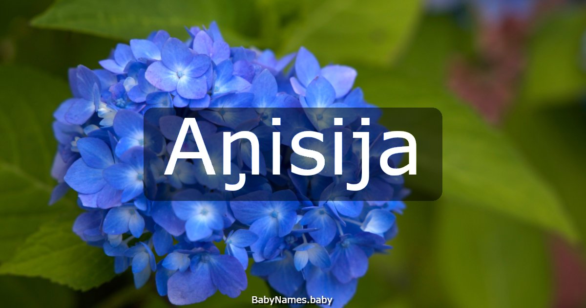 Aņisija