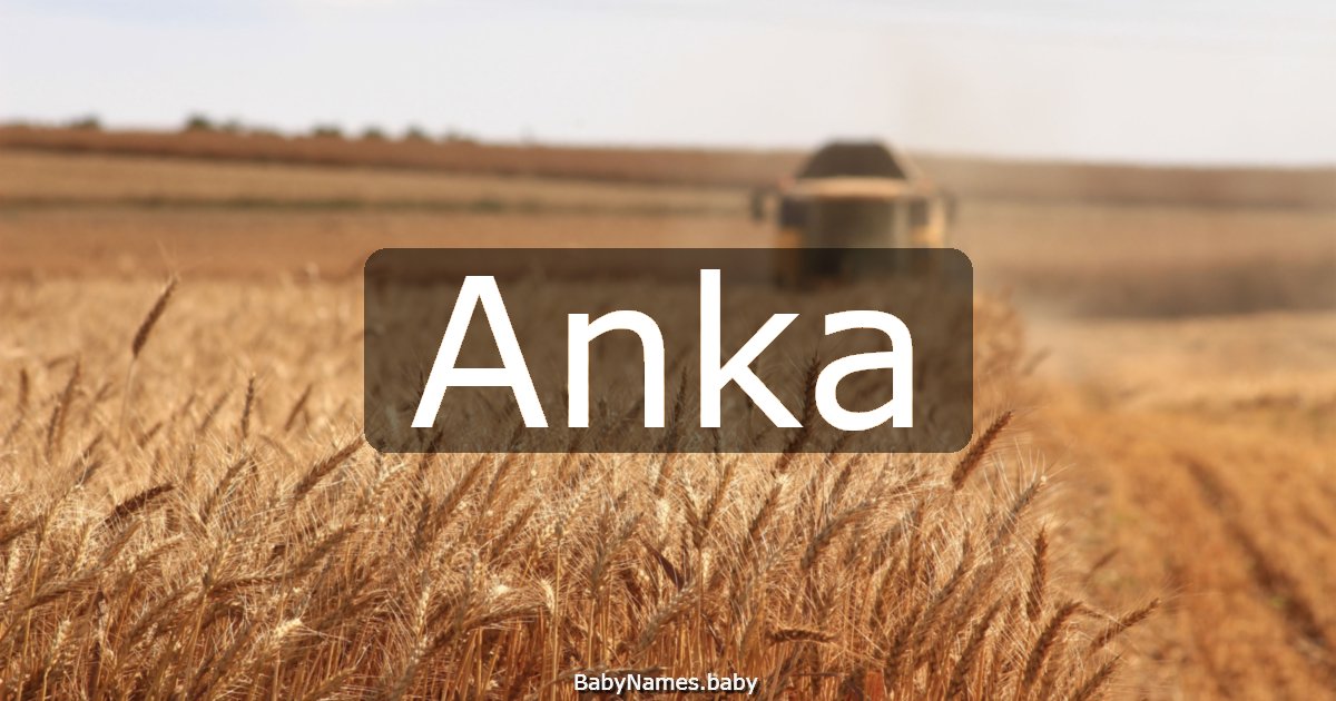 Anka