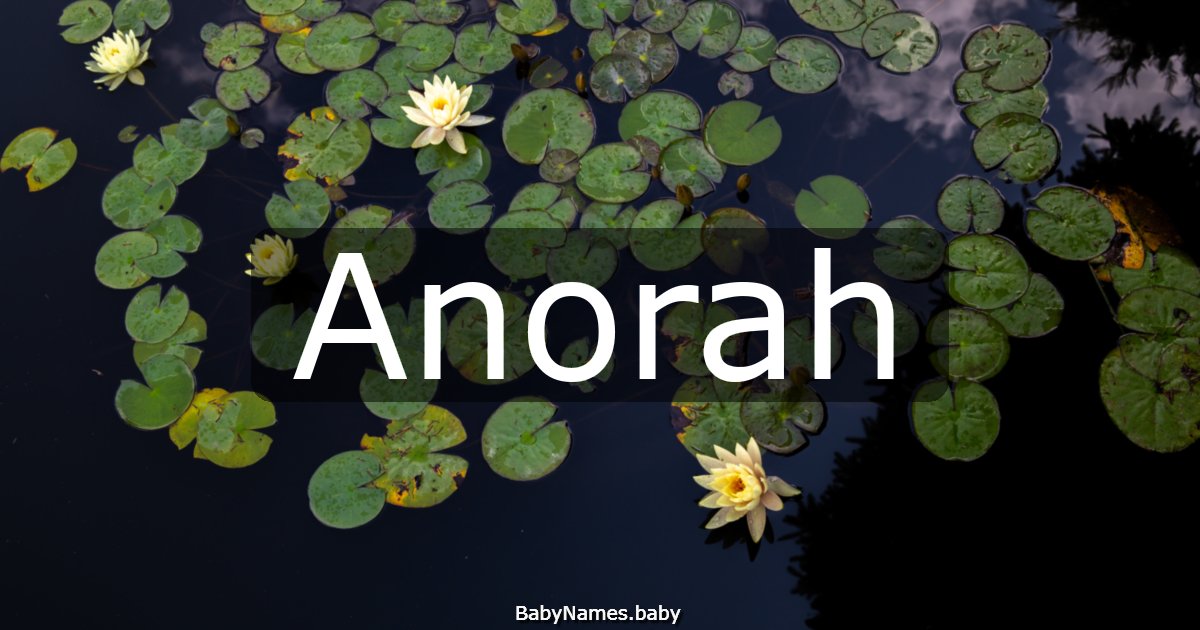 Anorah