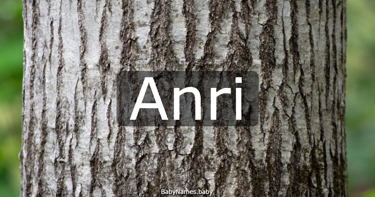 Anri