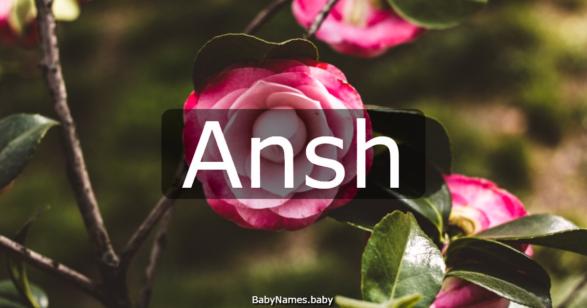 Ansh