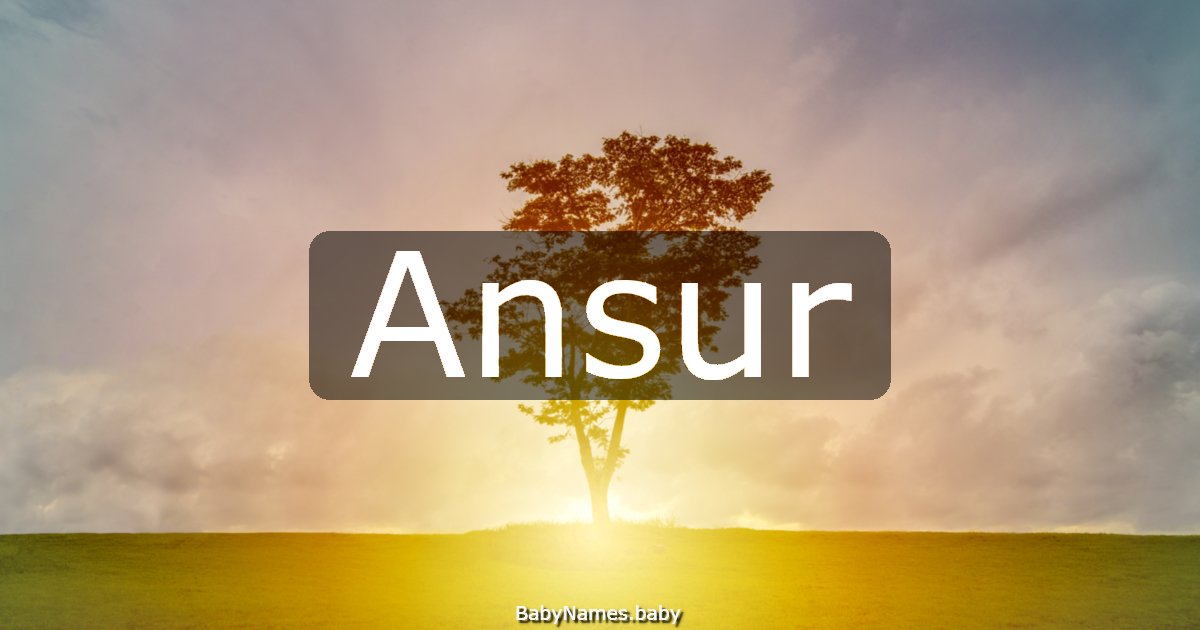Ansur
