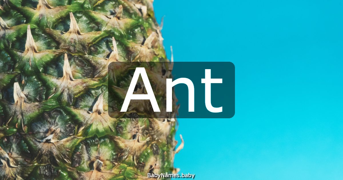 Ant