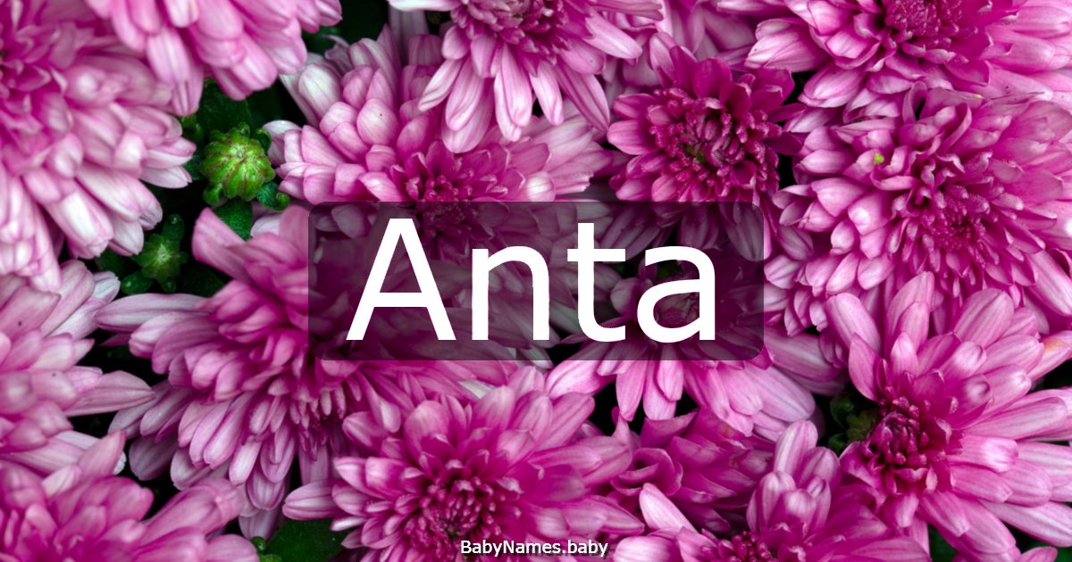Anta