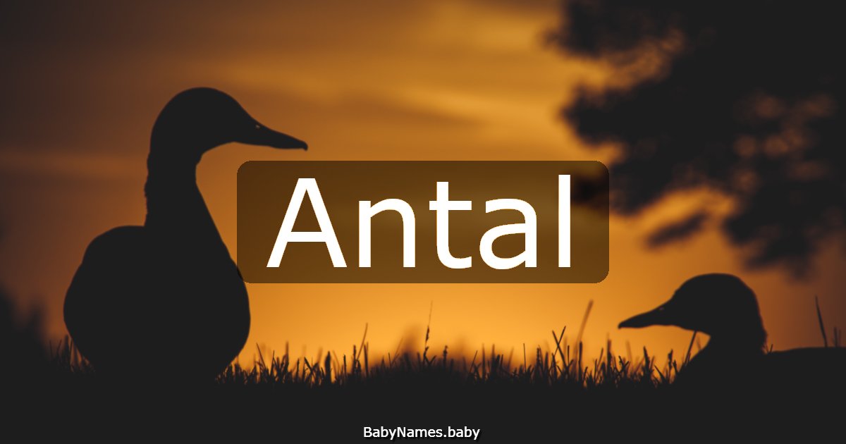 Antal