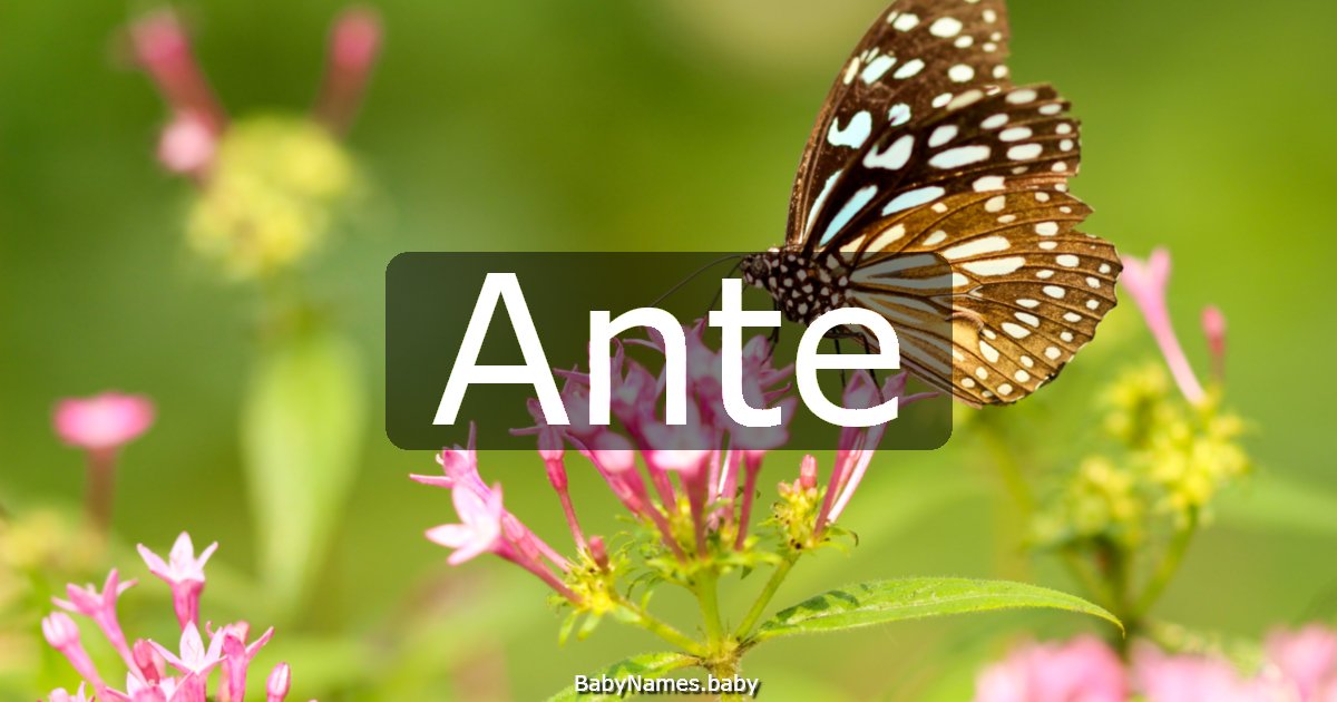 Ante