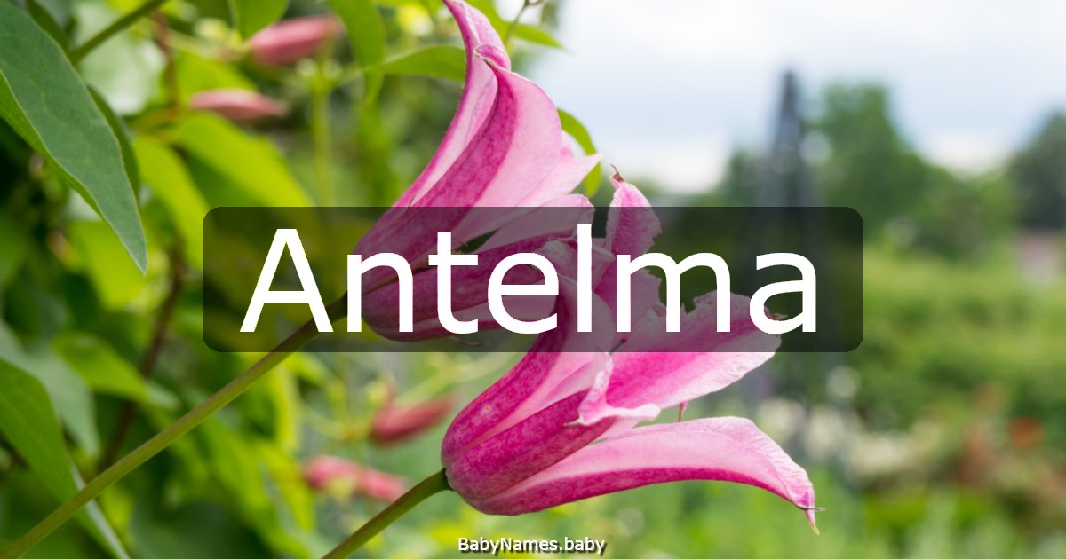 Antelma