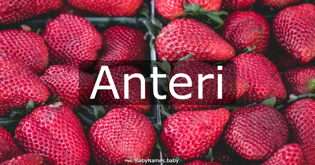 Anteri