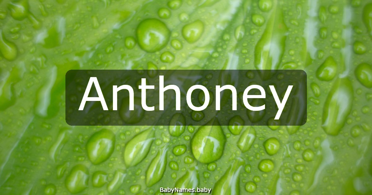 Anthoney