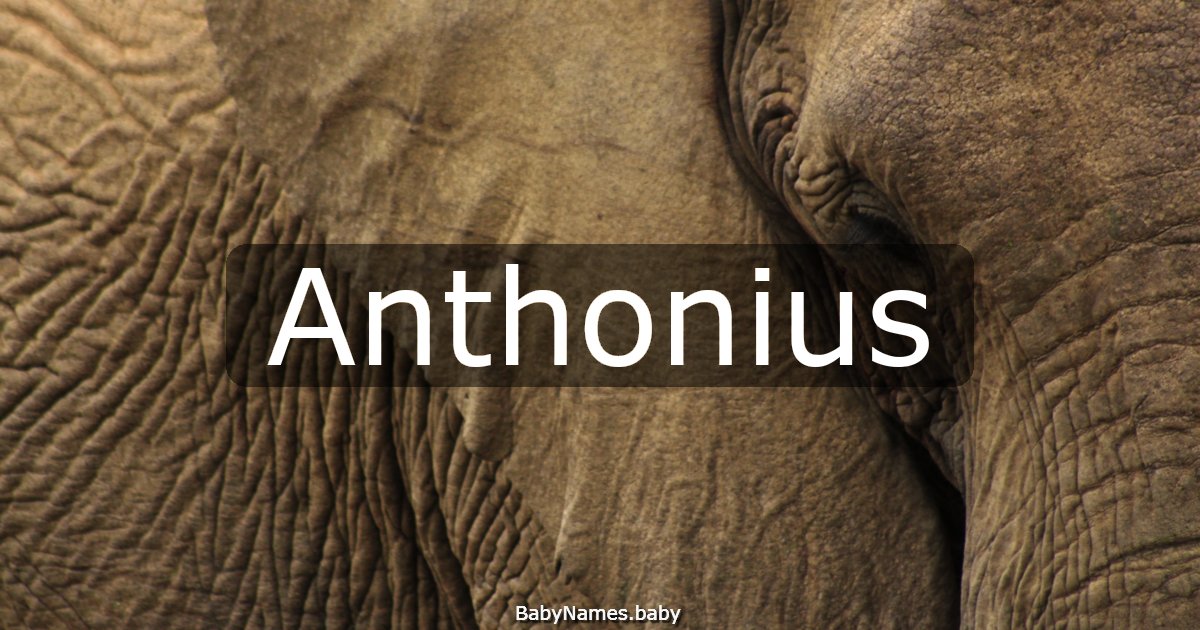 Anthonius