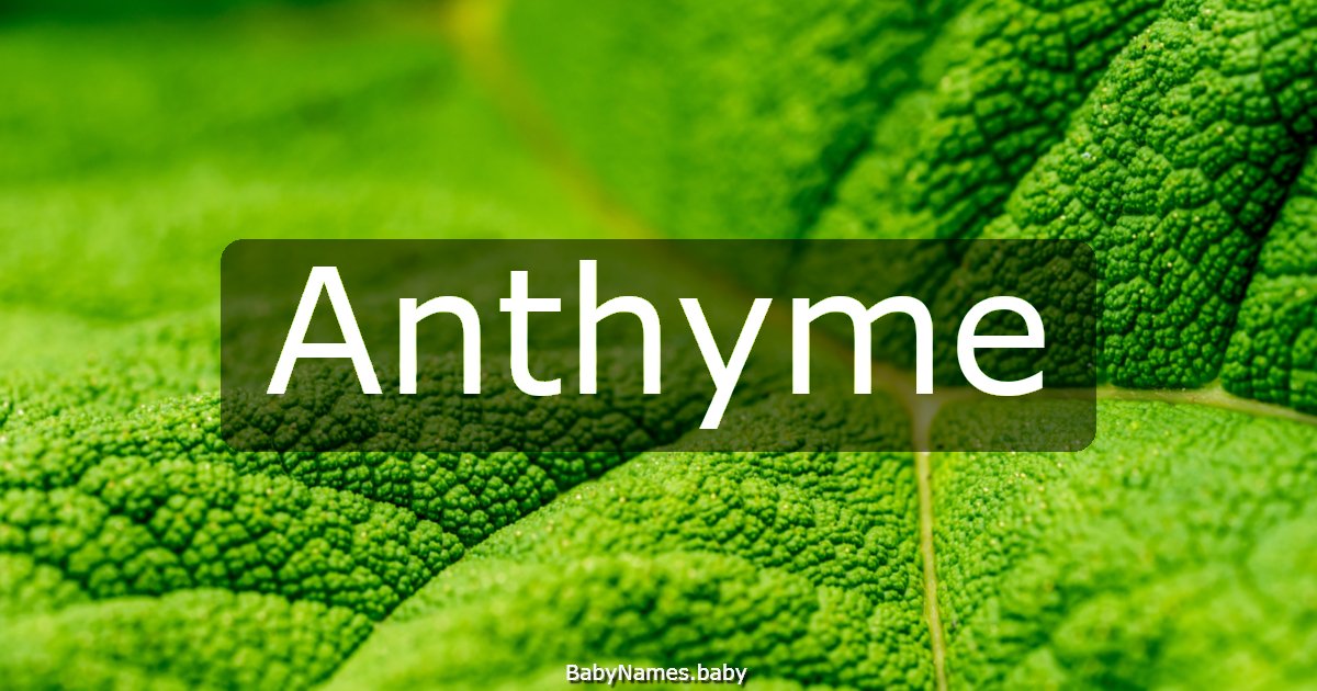 Anthyme