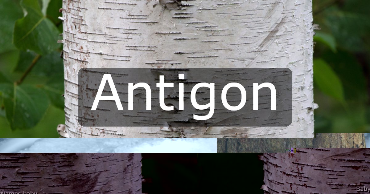 Antigon