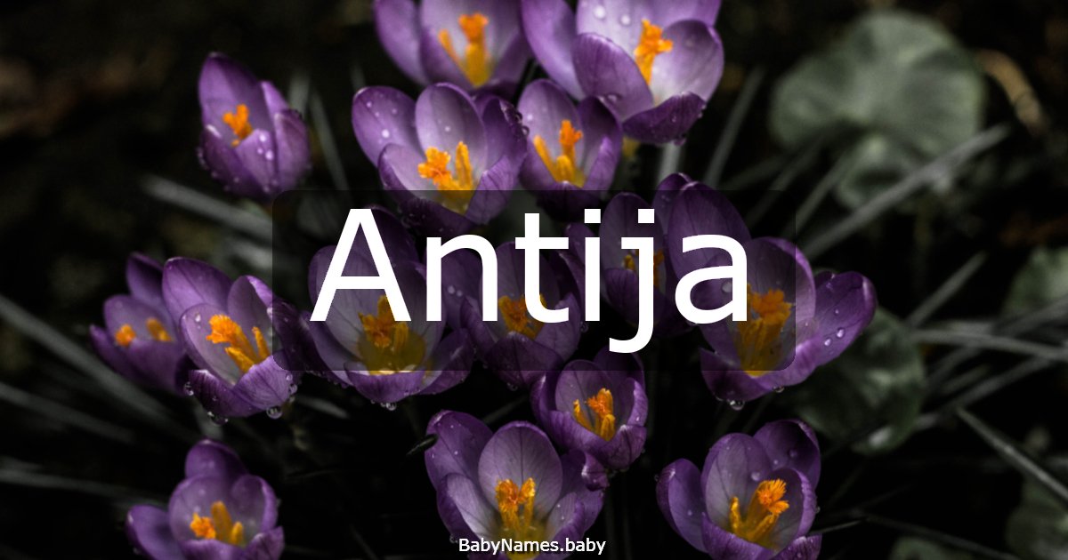 Antija