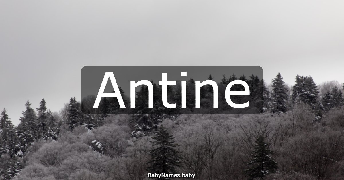 Antine