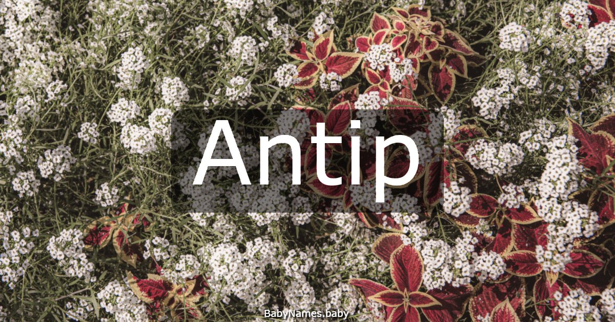 Antip