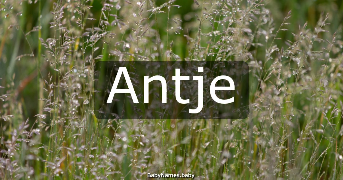 Antje