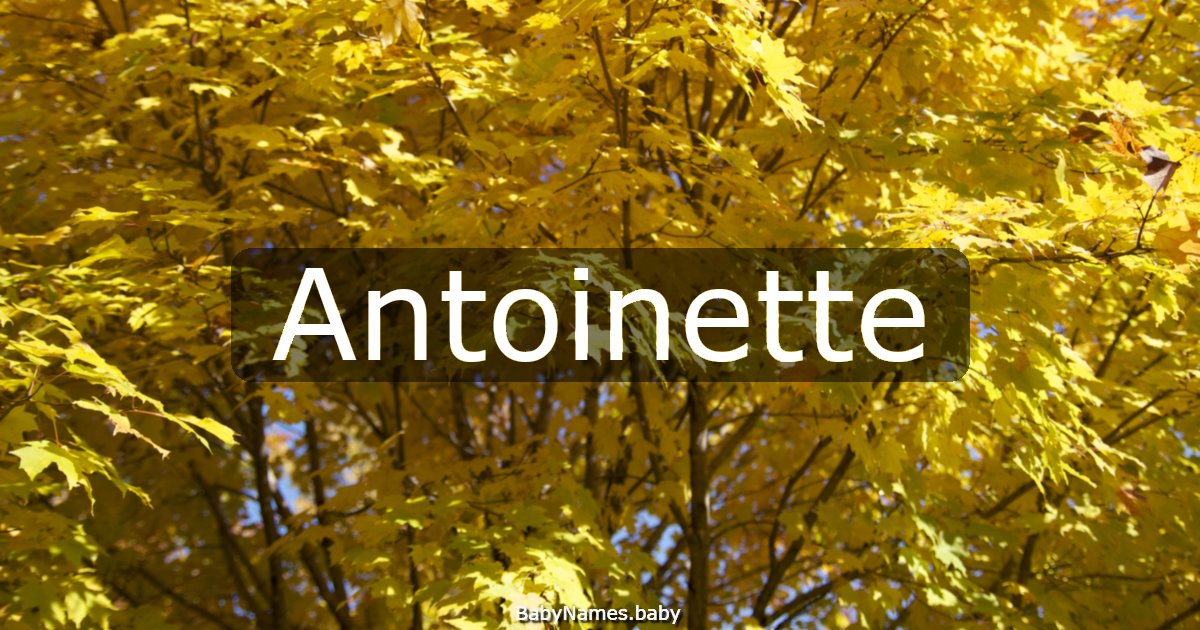 Antoinette