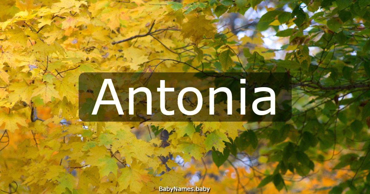 Antonia