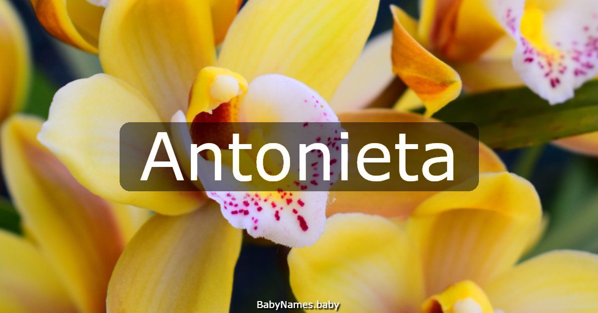 Antonieta