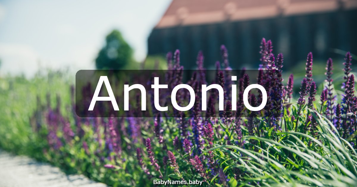 Antonio
