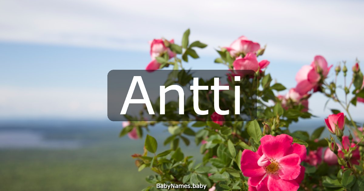 Antti