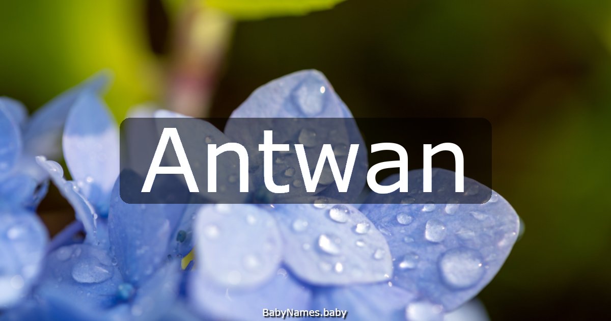 Antwan