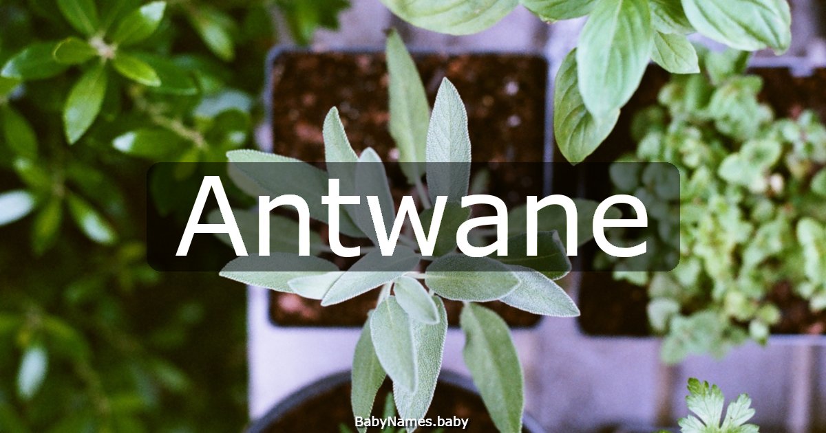 Antwane
