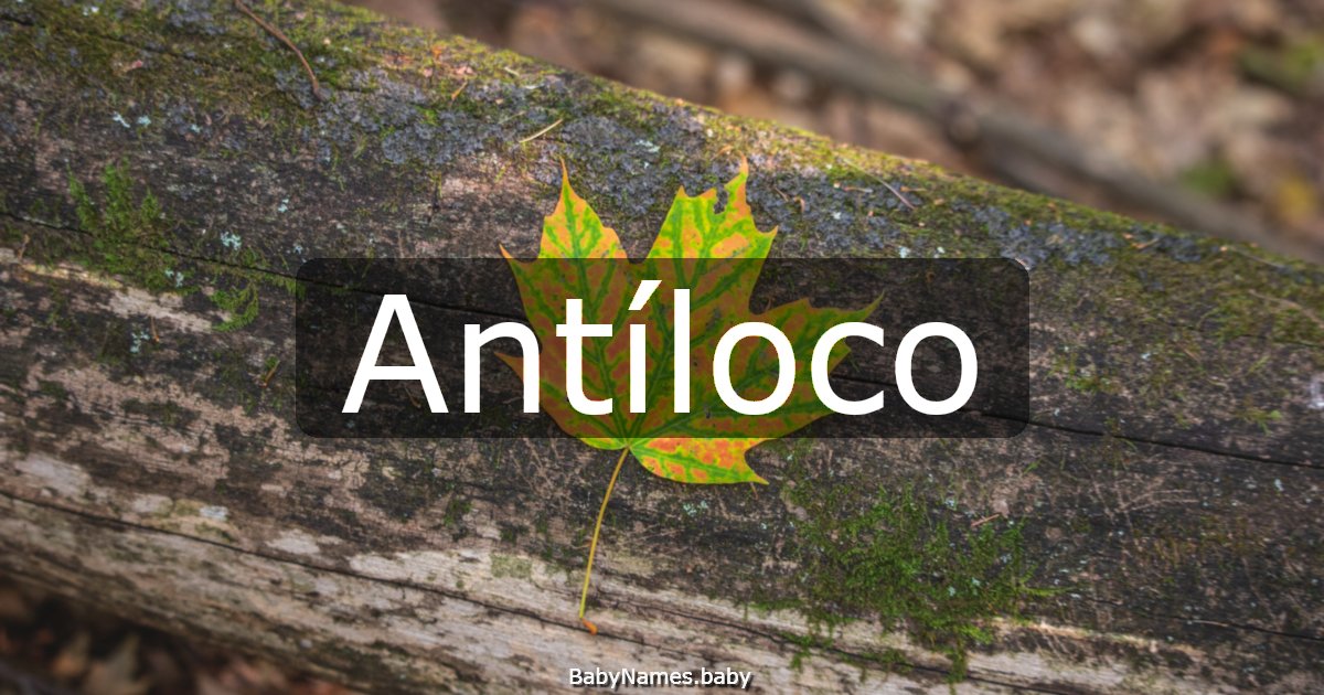 Antíloco