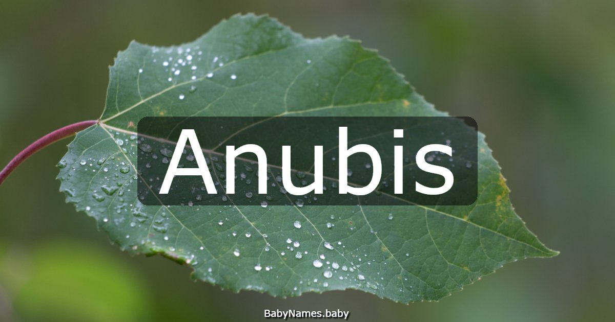 Anubis