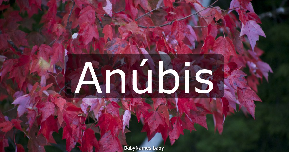 Anúbis